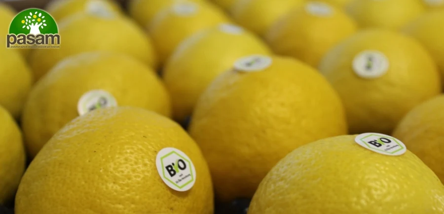 Limoni Biologici: Come Riconoscerli