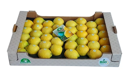 Packaging PASAM 80