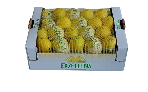 Packaging PASAM 74