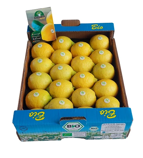 Packaging PASAM 84
