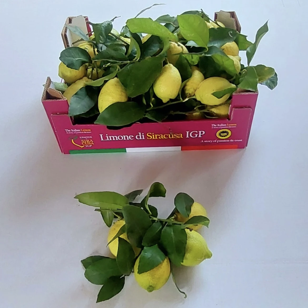 Packaging PASAM 82