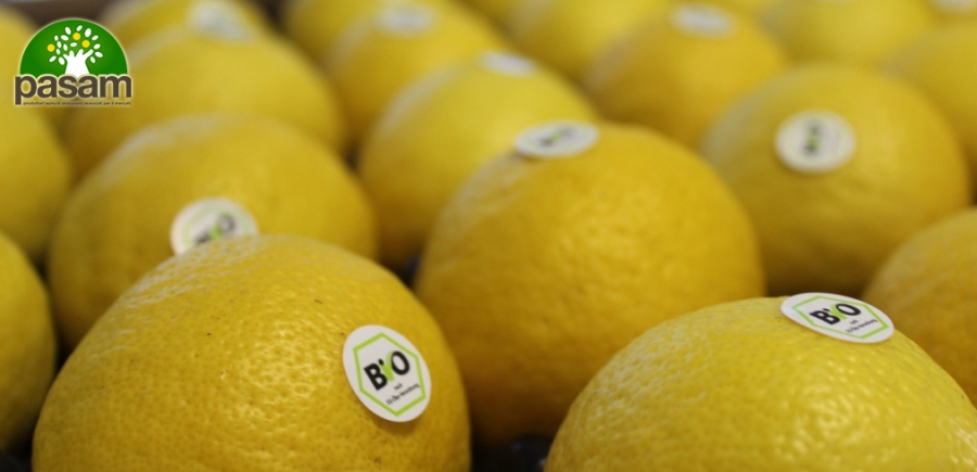 Limoni Biologici: Come Riconoscerli