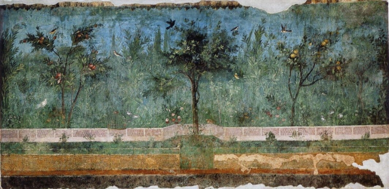 Limone di Siracusa: Origini e Storia
