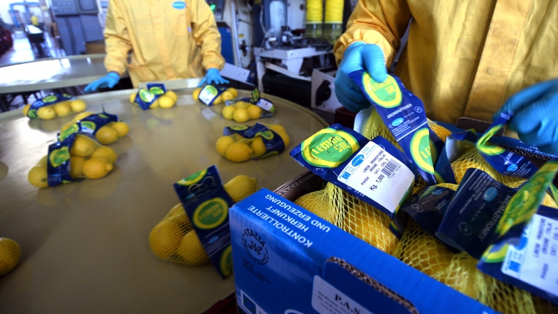 Limone Femminello Siracusano cercasi: La Tracciabilità!