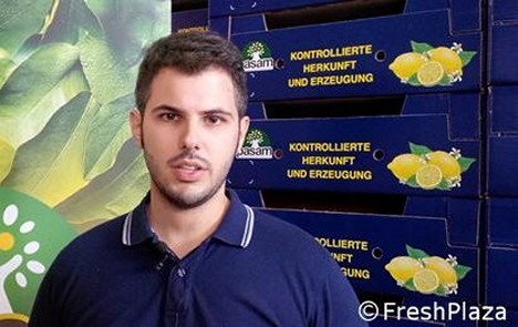 Limone di Siracusa: un bilancio tra mal secco e novita’